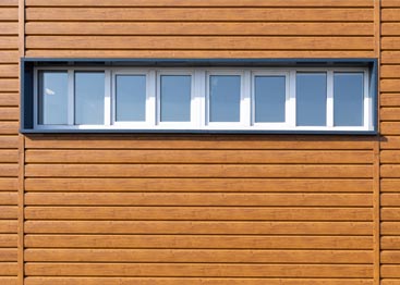 cedar