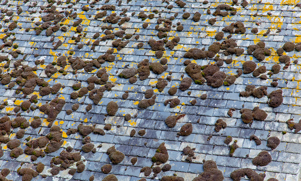 First, the roof deck is prepped so that it&rsquo;s clean and dry. It&rsquo;s also important that no debris or protruding nails are on the roof. 
