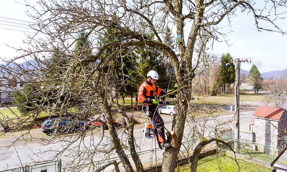 Trimming trees regularly can prevent branches from hanging over your roof and damaging it.