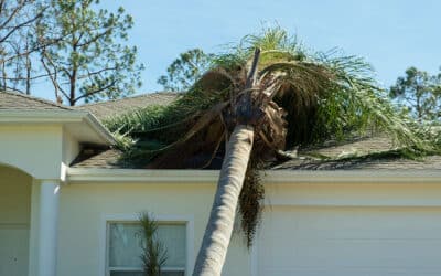 Tree Damage to a Roof