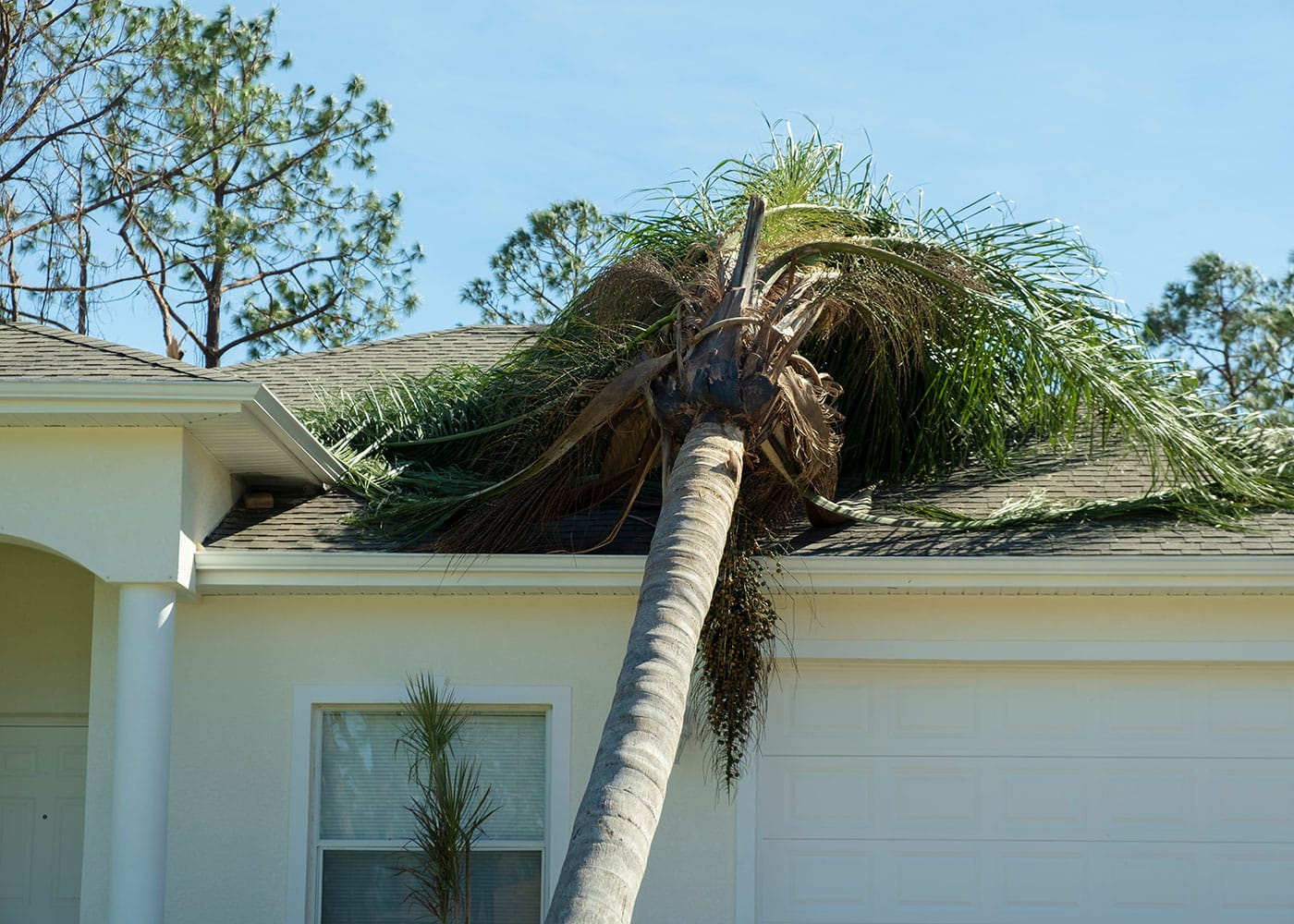 Trees can damage your roof in many ways, leading to structural issues and putting your home at risk
