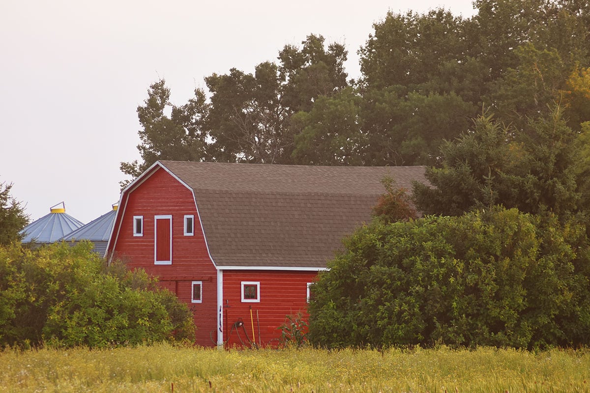 Gambrel barn roofs are two-sided roofs with symmetrical slopes on either side.